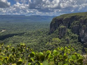 Gobierno Nacional prohíbe plásticos de un solo uso en áreas naturales protegidas y Parques Nacionales Naturales